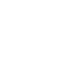 official selection